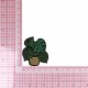 Ecusson plantes - Plante
