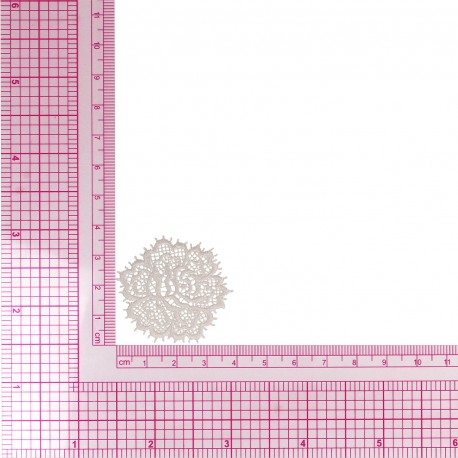 Ecusson rose dentelle - Blanc