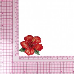 Ecusson belles fleurs - Hibiscus