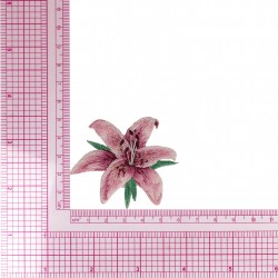 Ecusson belles fleurs - Fleur de lys