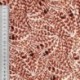 Tissu Popeline de Coton Impression Digitale Plume Brun