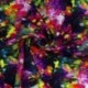 Tissu Viscose Impression Digitale Floral Multicolore