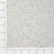 Tissu Dentelle Elasthanne Ecrue