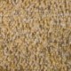 Tissu Bouclette Lolita Paille