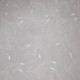 Tissu Voile Brodé Luca Blanc