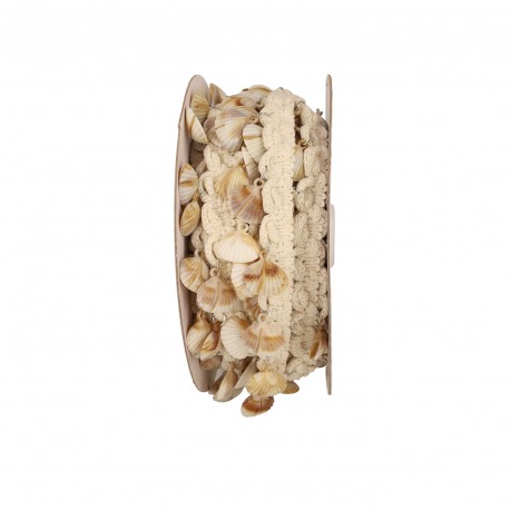 Galon frange coquillages Ecru