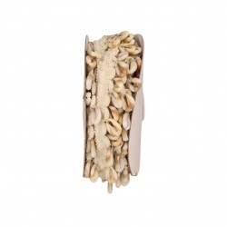 Galon frange coquillages Ecru