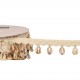 Galon frange coquillages Ecru