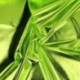 Tissu Lamé Enduit Vert Nil 