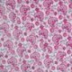 Tissu Voile de Coton Imprimé Fleurs Fuchsia 