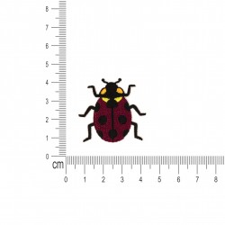 Ecusson insectes - Coccinelle