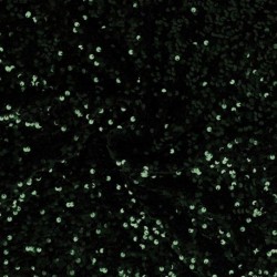 Tissu Sequins Sur Velours Vert Sapin