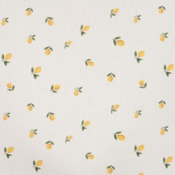Tissu Jersey de Coton Côtelé Ecru Citron 