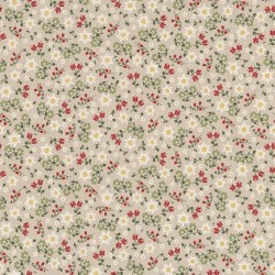 Tissu Edelweiss Field Fond Coloris Lin 