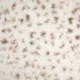 Tissu Hermina Fausse Fourrure Ecru