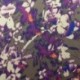 Tissu Satin Imprimé Floral Violet