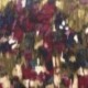 Tissu Satin Touché Velours Imprimé Bleu prune