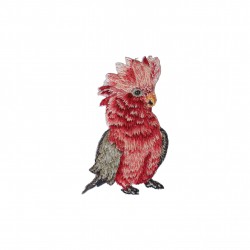 B ecusson oiseaux