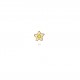Etoile fleur coeur feut